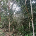 Condomínio à venda em Serra da Cantareira, Mairiporã, SP