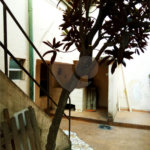 Casa à venda em Santana, São Paulo, SP