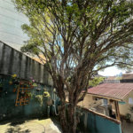 Casa à venda com 2 quartos em Freguesia do Ó, São Paulo, SP