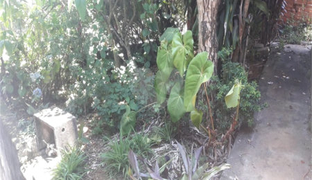 Terreno à venda em Jaraguá, São Paulo, SP
