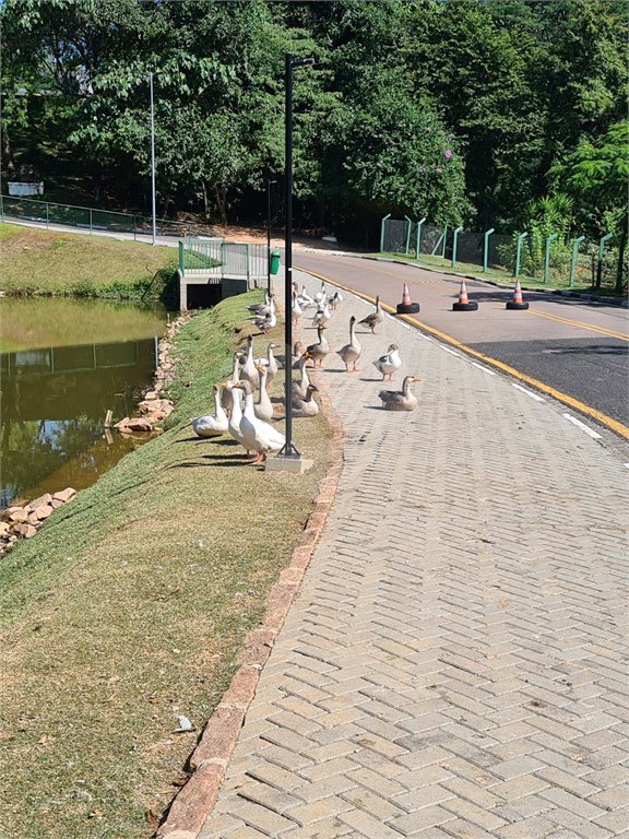 Casa à venda com 3 suítes no condomínio Terras de São Francisco, Vinhedo - SP
