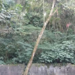 Terreno à venda em Tucuruvi, São Paulo, SP