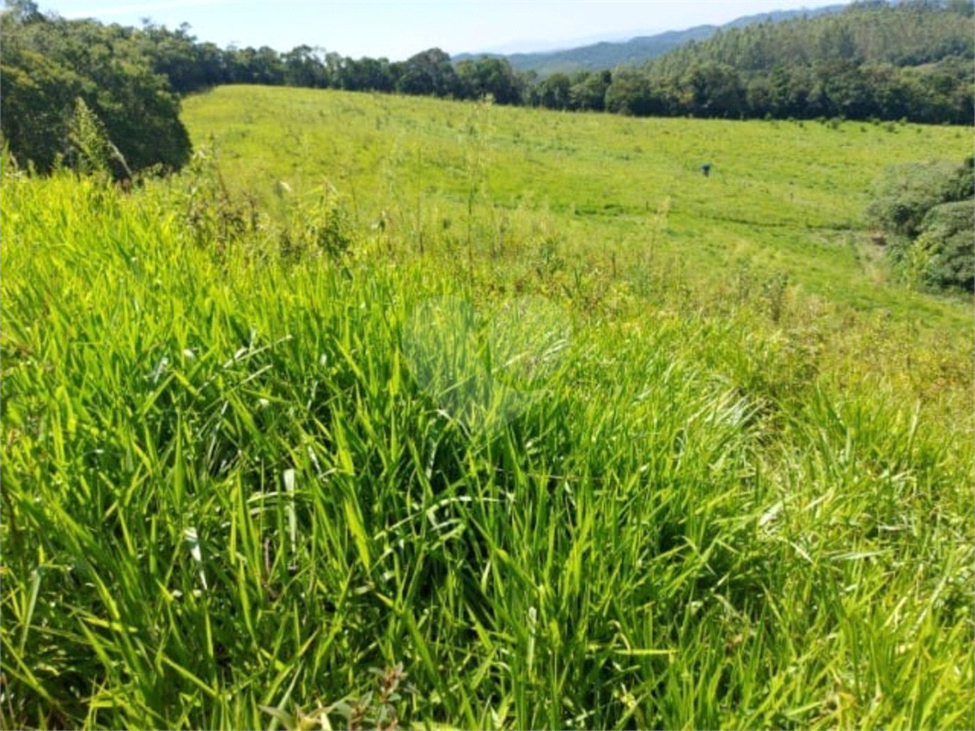 Sítio à venda com 5 quartos, sendo 1 suíte,  em Área Rural de Tapiraí, Tapiraí, SP