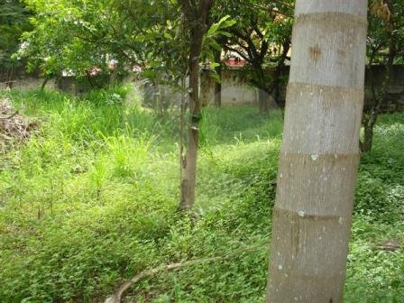 Terreno à venda em Tremembé, São Paulo, SP