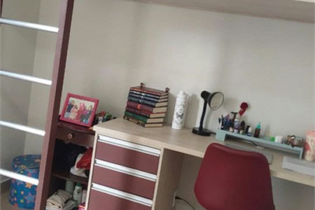 Apartamento Residencial à venda, José Menino, Santos - AP0420.