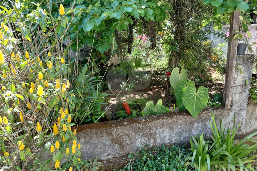 Terreno à venda em Horto Florestal, São Paulo, SP