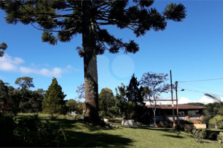 Chácara à venda com 8 quartos, sendo 3 suítes, no Centro, Toledo, MG