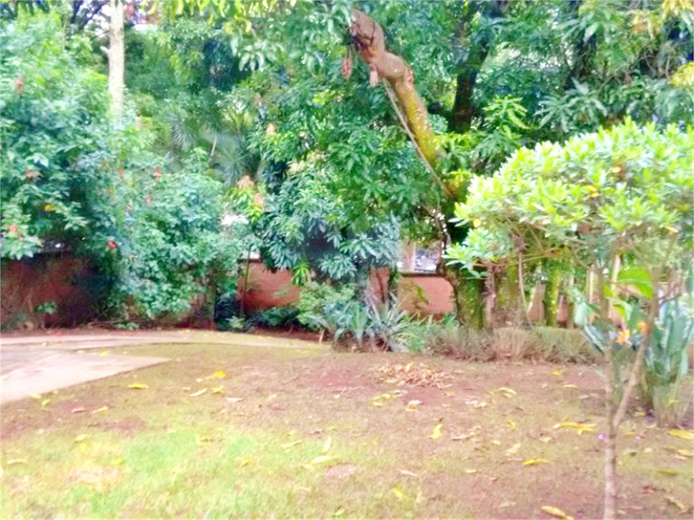 Casa Térrea à venda com 3 quartos, sendo 1 suíte,  em Mandaqui, São Paulo, SP