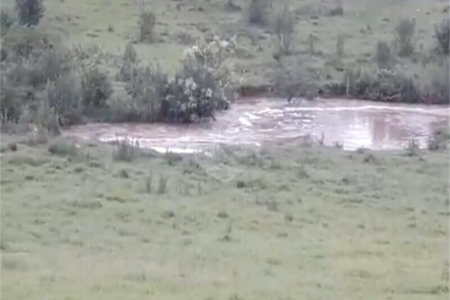 Área de Terra à venda em Área Rural de Monte Mor, Monte Mor, SP