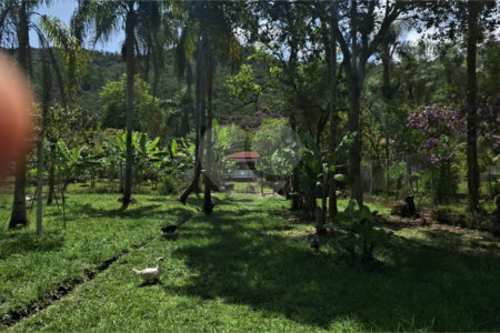 Chácara à venda com 4 quartos, sendo 1 suíte, em Taiaçupeba, Mogi das Cruzes, SP
