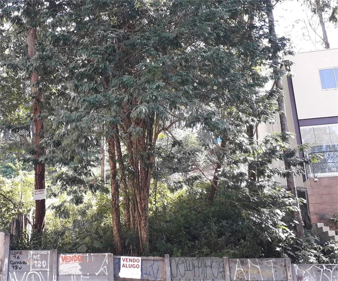 Terreno à venda ou para alugar em Vila Andrade, São Paulo, SP