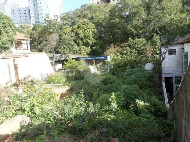 Terreno à venda ou para alugar em Água Fria, São Paulo, SP