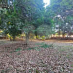 Terreno à venda em Jardim dos Estados, Ponta Porã, MS