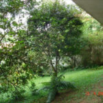 Casa Térrea à venda com 4 quartos, sendo 2 suítes, em Vila Tramontano, São Paulo, SP