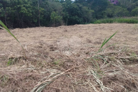 Terreno à venda em Cézar de Souza, Mogi das Cruzes, SP