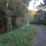 Terreno à venda no condomínio Associação Reserva das Hortênsias, Mairiporã - SP