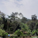 Casa Térrea à venda com 5 quartos, sendo 2 suítes,  em Roseira, Mairiporã, SP