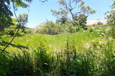 Terreno à venda em Jardim Shangri-lá, Atibaia, SP