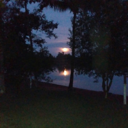 Sítio à venda com 2 quartos, sendo 1 suíte,  em Rural, Três Lagoas, MS
