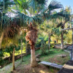 Casa Térrea para alugar com 3 quartos, sendo 1 suíte, em Jardim Guaçu, São Roque, SP