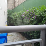 Apartamento à venda com 1 quarto em Tucuruvi, São Paulo, SP