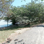 Área de Terra à venda em Monte Alegre, Vinhedo, SP