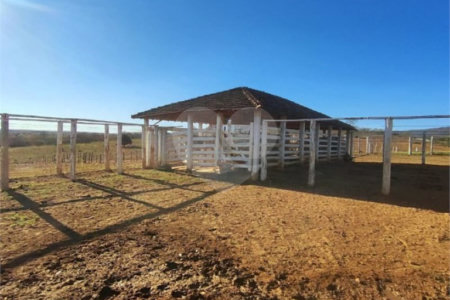 Fazenda à venda com 6 quartos, sendo 1 suíte,  no Centro, Capitão Enéas, MG