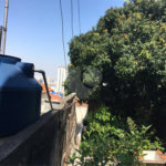 Terreno à venda com 3 quartos em Vila Maria, São Paulo, SP