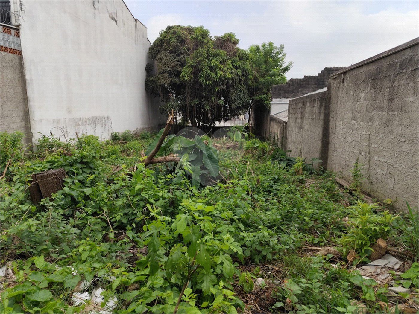 Terreno à venda com 1 suíte em Vila Constança, São Paulo, SP