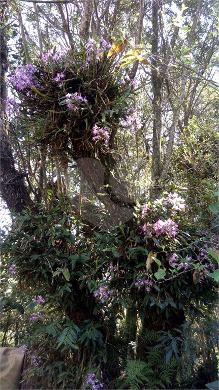 Terreno à venda em Serra da Cantareira, Mairiporã, SP
