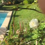 Casa à venda com 5 quartos, sendo 4 suítes, no condomínio Jardim Vitória Régia, São Paulo - SP