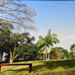 Terreno à venda em Vila Irmãos Arnoni, São Paulo, SP