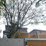 Casa à venda com 4 suítes no condomínio Plm 875, São Paulo - SP