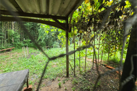 Chácara à venda com 3 quartos, sendo 1 suíte, em Cercadinho, Alambari, SP