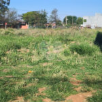 Terreno à venda em Jardim Ibirapuera, Ponta Porã, MS