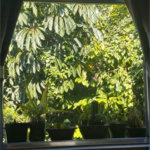 Apartamento Residencial à venda, Macuco, Santos - AP0185.