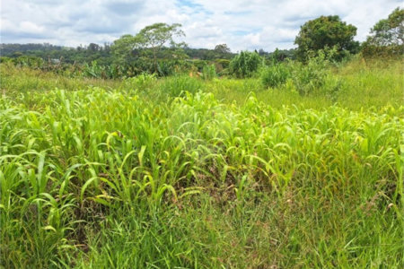 Terreno à venda com 1 suíte em Pinheirinho, Vinhedo, SP