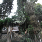 Sobrado à venda com 3 quartos, sendo 1 suíte, em Vila Albertina, São Paulo, SP