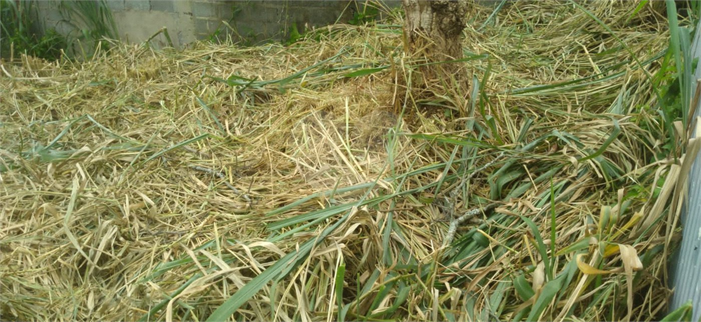 Terreno à venda em Jardim do Trevo, Atibaia, SP