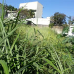 Terreno à venda em Jardim São Bento, São Paulo, SP