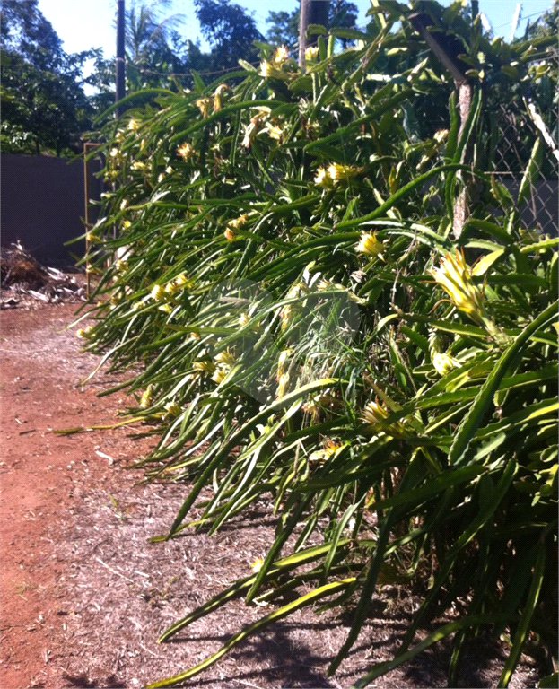 Chácara à venda com 5 quartos em Parque Planalto, Araraquara, SP
