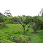 Chácara à venda com 2 quartos, sendo 1 suíte, em Santa Cândida, Vinhedo, SP