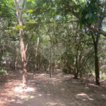 Casa à venda com 3 quartos, sendo 1 suíte, no condomínio Jardim Guarujá, Salto - SP