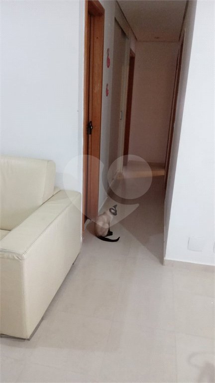 Apartamento à venda com 3 quartos, sendo 1 suíte,  em Vila Mariana, São Paulo, SP