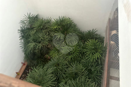 Casa à venda com 4 suítes em Barra da Tijuca, Rio de Janeiro, RJ
