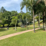 Cobertura à venda com 3 suítes em Jardim Vitória Régia, São Paulo, SP