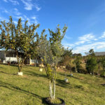Terreno à venda com 2 quartos no condomínio Reserva do Morro Alto, Jarinu - SP