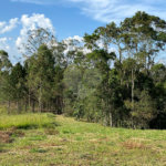 Sítio à venda com 3 quartos, sendo 1 suíte,  no Centro, Biritiba-mirim, SP