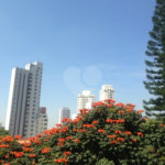 Apartamento à venda com 3 quartos, sendo 2 suítes, em Cambuci, São Paulo, SP
