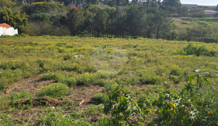 Terreno à venda em Vila Sonia, Itapetininga, SP